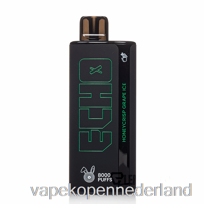 Elektronische Sigaret Vape Echo 8000 Wegwerp Honingcrisp Druivenijs